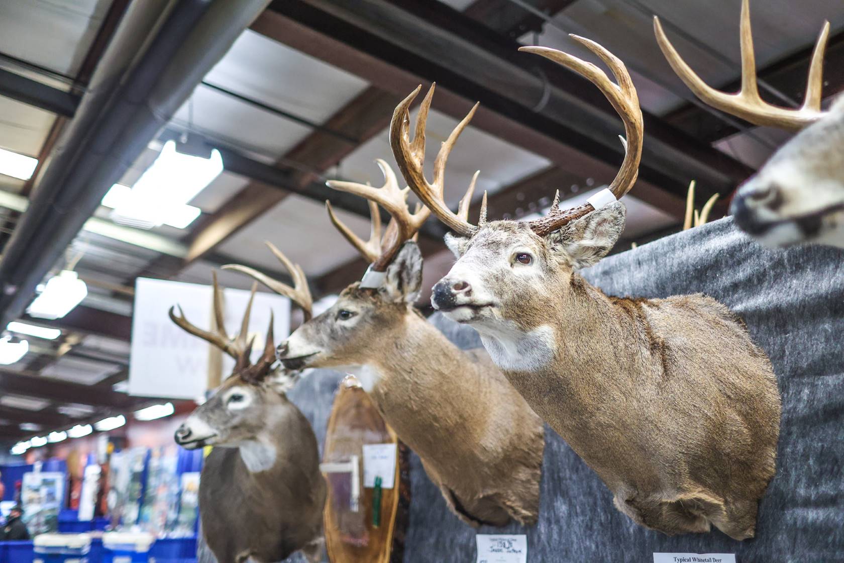 NS BIG GAME SHOW Sports & RV Show